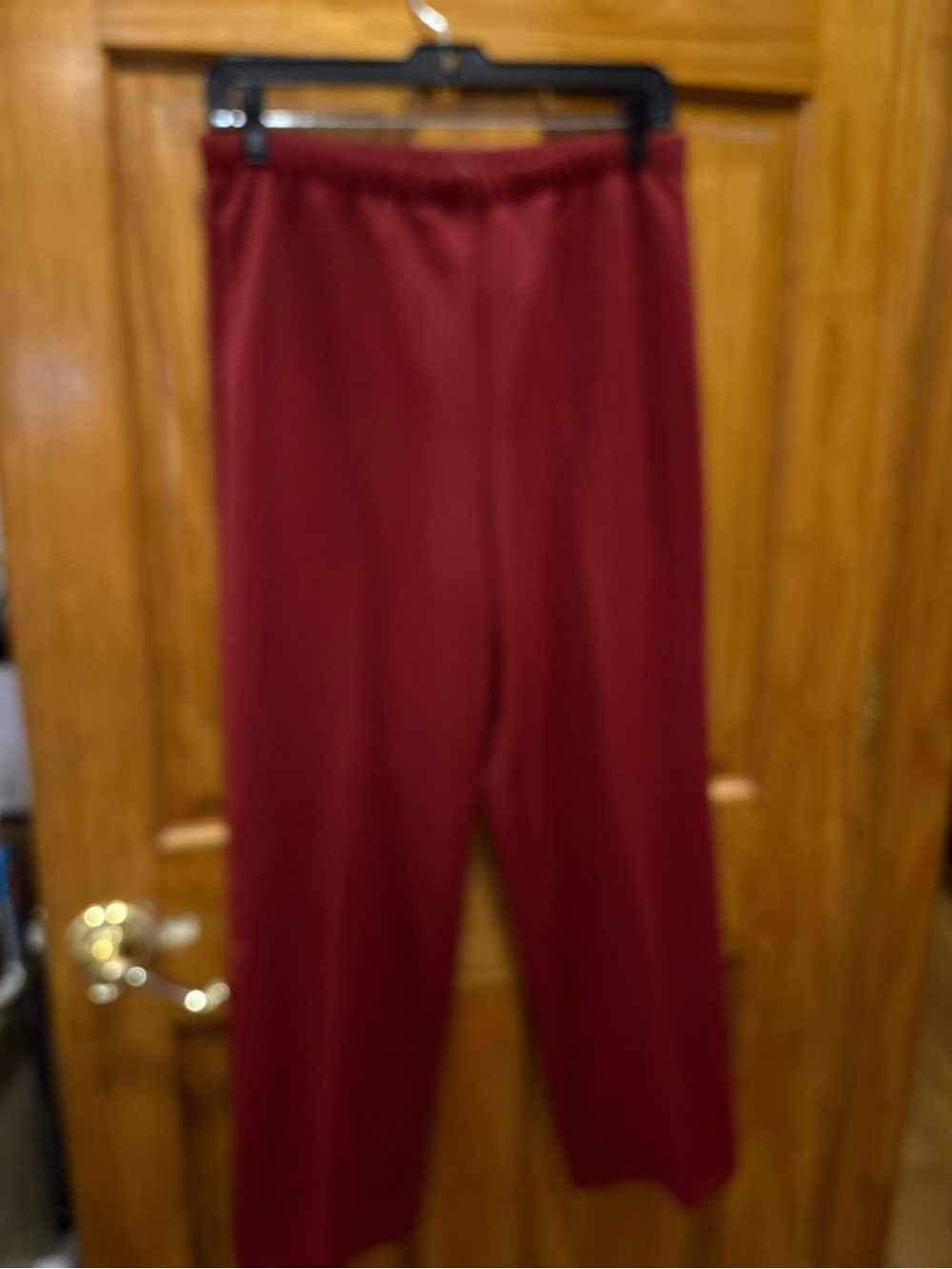 Elastic-Waist Straight Leg Pants in Burgundy